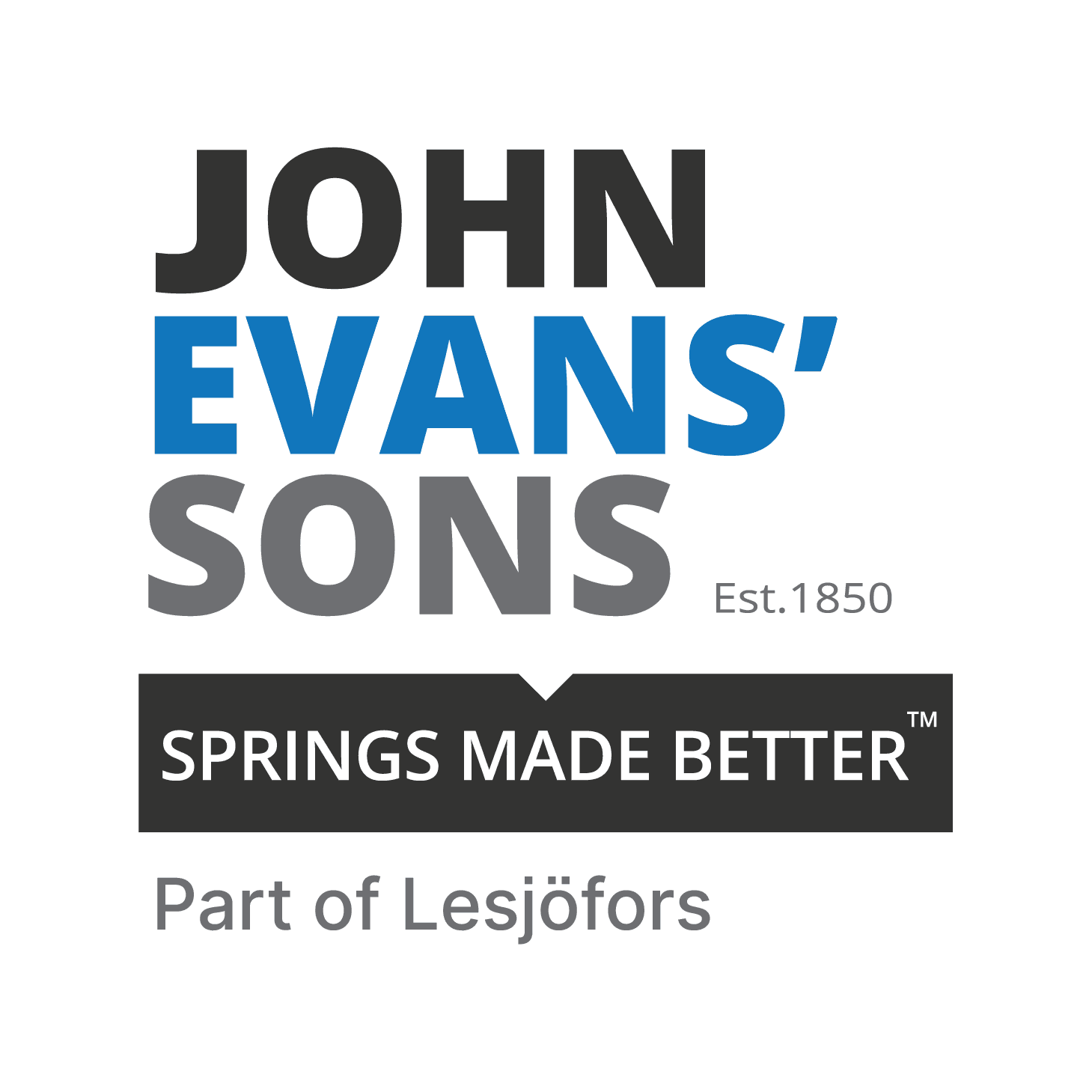 site logo